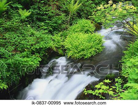 Waterfalls at Nagano Prefecture, Japan View Large Photo Image Stock Photography - Waterfalls at Nagano Prefecture, Japan. Fotosearch