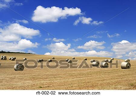 Wheat Fields View Large Photo Image Stock Image - Wheat Fields. Fotosearch