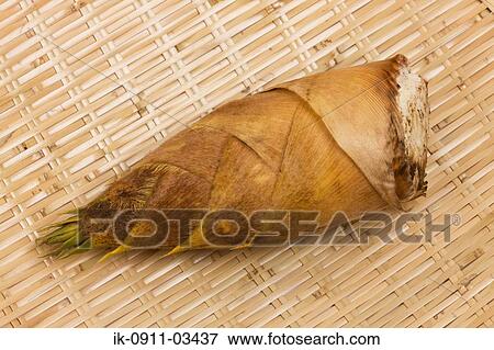 Wholesome Bamboo Shoots View Large Photo Image Stock Photo - Wholesome Bamboo Shoots. Fotosearch