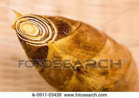 Wholesome Bamboo Shoots View Large Photo Image Stock Photo - Wholesome Bamboo Shoots. Fotosearch