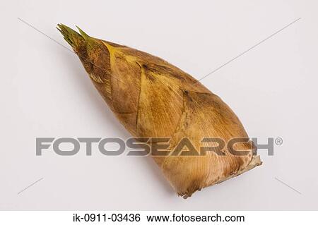 Wholesomebamboo Shoots, View Large Photo Image Stock Photograph - Wholesomebamboo Shoots,. Fotosearch