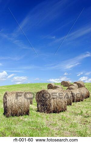 Stock Image - Wide Field. Fotosearch