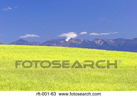 Stock Image - Wide Field. Fotosearch