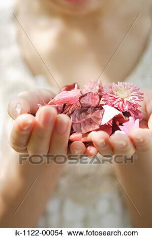 Woman holding flowers View Large Photo Image Picture - Woman holding flowers. Fotosearch
