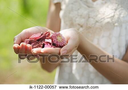 Woman holding flowers View Large Photo Image Stock Photo - Woman holding flowers. Fotosearch