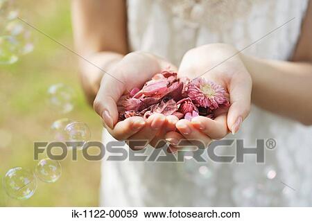 Woman holding flowers View Large Photo Image Stock Photo - Woman holding flowers. Fotosearch