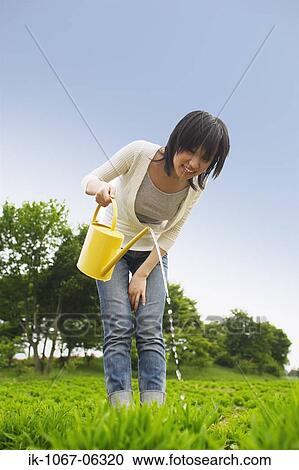 Woman watering plants in garden View Large Photo Image Stock Image - Woman watering plants in garden. Fotosearch
