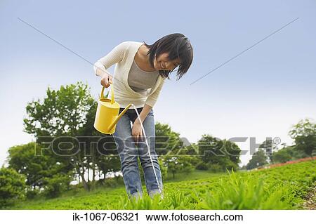 Stock Image - Woman watering plants in garden. Fotosearch