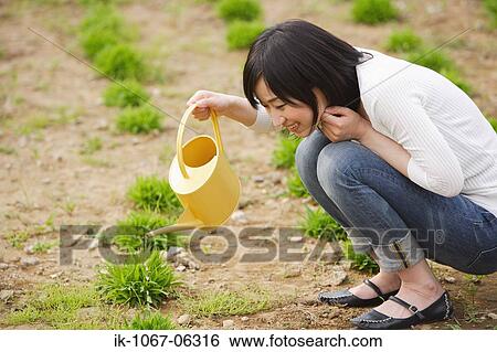 Woman watering plants in garden View Large Photo Image Stock Photograph - Woman watering plants in garden. Fotosearch