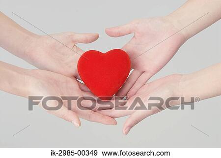 Women Holding Heart in Their Hands View Large Photo Image Stock Photo - Women Holding Heart in Their Hands. Fotosearch