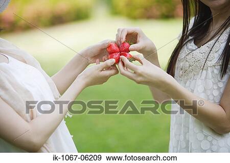 Women holding strawberries View Large Photo Image Stock Photo - Women holding strawberries. Fotosearch