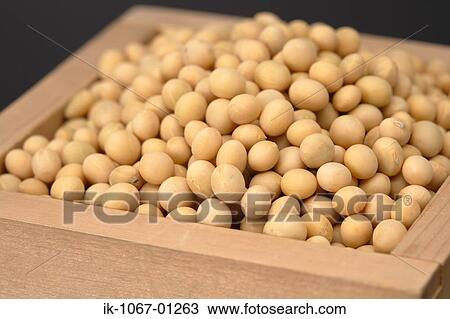 Wooden box with 'Edamame' soybeans View Large Photo Image Stock Image - Wooden box with 'Edamame' soybeans. Fotosearch
