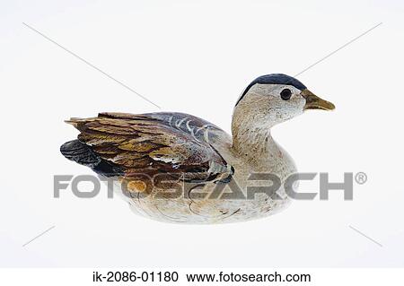 Wooden Duck Decoy on White Background View Large Photo Image Stock Image - Wooden Duck Decoy on White Background. Fotosearch