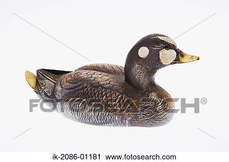 Wooden Duck Decoy on White Background View Large Photo Image Stock Image - Wooden Duck Decoy on White Background. Fotosearch