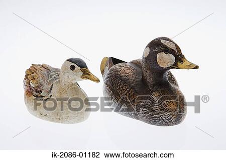 Wooden Duck Decoy on White Background View Large Photo Image Stock Image - Wooden Duck Decoy on White Background. Fotosearch