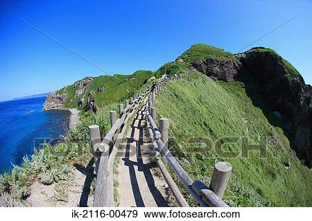 Wooden track on seaside against blue sky View Large Photo Image Stock Photo - Wooden track on seaside against blue sky. Fotosearch