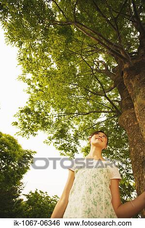 Young Japanese woman looking at tree View Large Photo Image Stock Photograph - Young Japanese woman looking at tree. Fotosearch