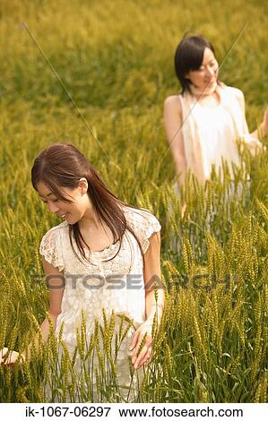 Young smiling women standing in wheat field View Large Photo Image Stock Photo - Young smiling women standing in wheat field. Fotosearch