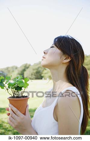 Young Woman Smelling Potted Plant View Large Photo Image Stock Image - Young Woman Smelling Potted Plant. Fotosearch