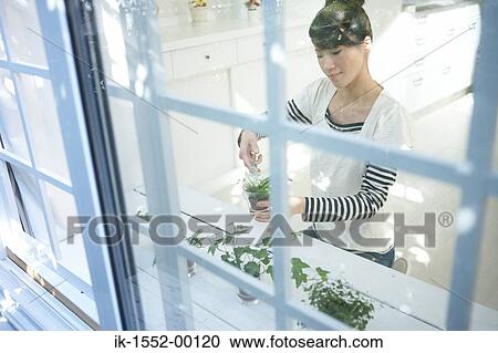Young woman watering potted plants View Large Photo Image Stock Image - Young woman watering potted plants. Fotosearch