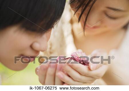 Young women smelling flowers View Large Photo Image Stock Photography - Young women smelling flowers. Fotosearch