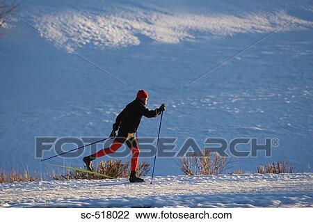 Cross-Country Skier View Large Photo Image Stock Image - Cross-Country Skier. Fotosearch