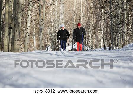 Cross-Country Skiers View Large Photo Image Stock Image - Cross-Country Skiers. Fotosearch