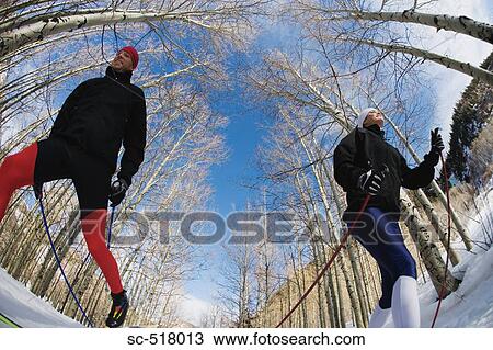 Stock Image - Cross-Country Skiers. Fotosearch