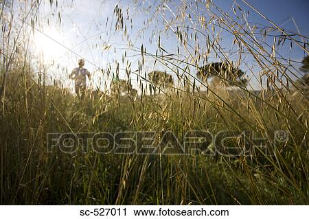 Girl Jogging in Oat Field View Large Photo Image Stock Image - Girl Jogging in Oat Field. Fotosearch