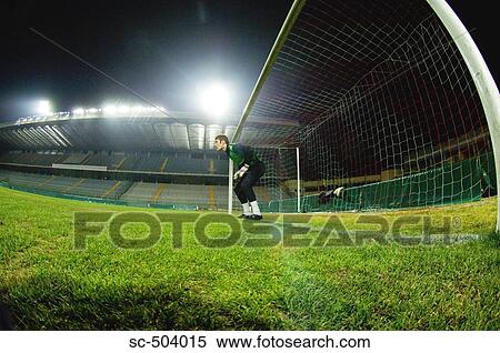 Goalie In Stance View Large Photo Image Stock Photography - Goalie In Stance. Fotosearch