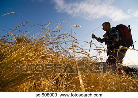 Hiker with backpack View Large Photo Image Stock Image - Hiker with backpack. Fotosearch