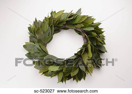 Stock Photo - Laurel. Fotosearch