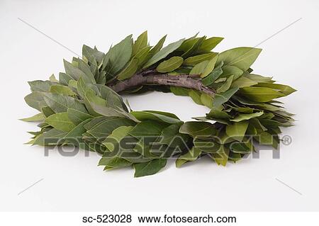 Stock Photo - Laurel. Fotosearch