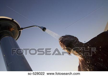 Man showering View Large Photo Image Stock Image - Man showering. Fotosearch
