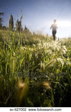 Person jogging in countryside View Large Photo Image Stock Image - Person jogging in countryside. Fotosearch