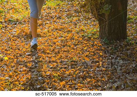 Person Running View Large Photo Image Stock Photography - Person Running. Fotosearch