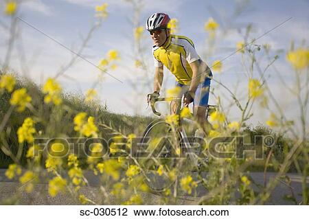 Stock Image - Side view of a man cycling and yellow flowers in foreground. Fotosearch