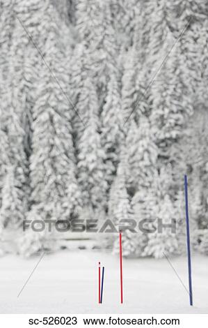 Ski poles and snow covered trees in winter View Large Photo Image Stock Image - Ski poles and snow covered trees in winter. Fotosearch