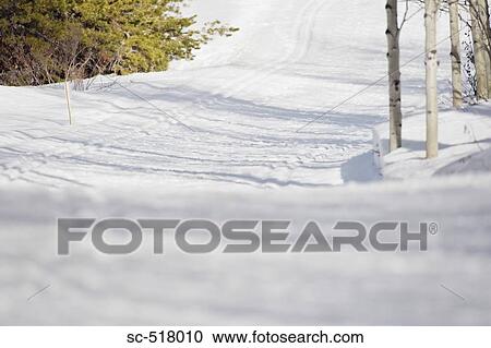 Stock Image - Snowy Path. Fotosearch