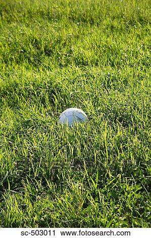 Soccer Ball Lying In the Grass View Large Photo Image Stock Image - Soccer Ball Lying In the Grass. Fotosearch