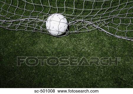 Soccer Smiling Against Lights View Large Photo Image Stock Photo - Soccer Smiling Against Lights. Fotosearch