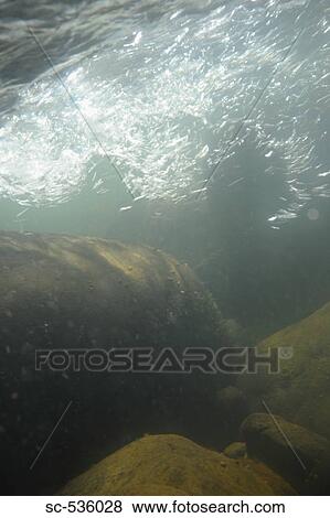 Submerged stones in river View Large Photo Image Stock Photo - Submerged stones in river. Fotosearch
