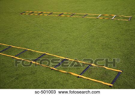 Training Ladders On Soccer Field View Large Photo Image Stock Image - Training Ladders On Soccer Field. Fotosearch