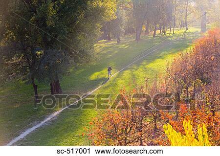 Woman Running in a Park View Large Photo Image Stock Image - Woman Running in a Park. Fotosearch