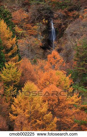 Autumn at Fudou waterfall, Nagano Prefecture View Large Photo Image Stock Photography - Autumn at Fudou waterfall, Nagano Prefecture. Fotosearch