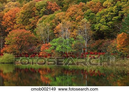 Autumn colors at Lake Tateshina, Nagano Prefecture View Large Photo Image Stock Photo - Autumn colors at Lake Tateshina, Nagano Prefecture. Fotosearch