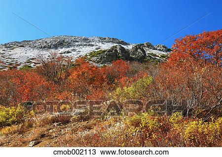 Stock Image - Azuma plateau, Fukushima Prefecture. Fotosearch