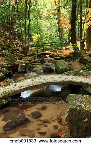 Bridge and forest in Miyazu, Kyoto Prefecture View Large Photo Image Stock Image - Bridge and forest in Miyazu, Kyoto Prefecture. Fotosearch