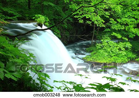 Choshi waterfall, Aomori Prefecture View Large Photo Image Stock Photo - Choshi waterfall, Aomori Prefecture. Fotosearch