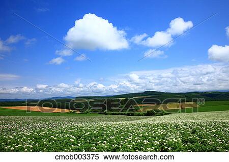 Countryside, Hokkaido View Large Photo Image Stock Photography - Countryside, Hokkaido. Fotosearch